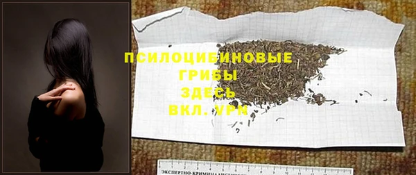 мдпв Балабаново