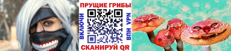 Псилоцибиновые грибы прущие грибы  Пудож 
