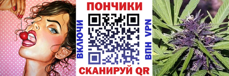 ссылка на мегу Пудож Каннабис сатива